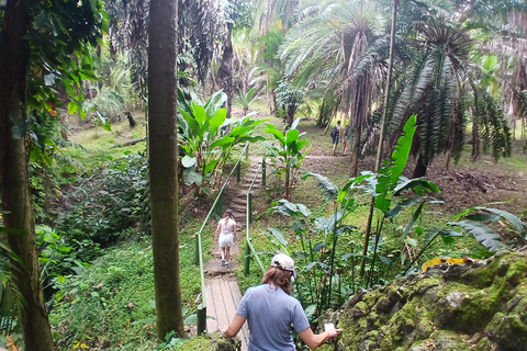 Nadi VIP Tour: Culture, Mud Baths, Massage & Lunch Nadi Airport Transit Zone & Votualevu