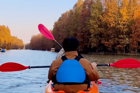 Shanghai: Kayaking Adventure in Shanghai Bay Forest Park