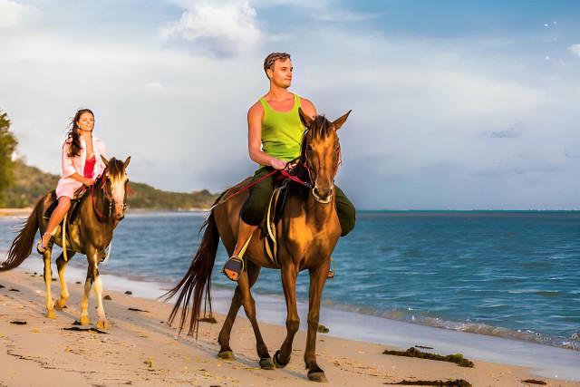Visit Punta Cana Macao Beach Tour on Horseback with Transfers in Punta Cana