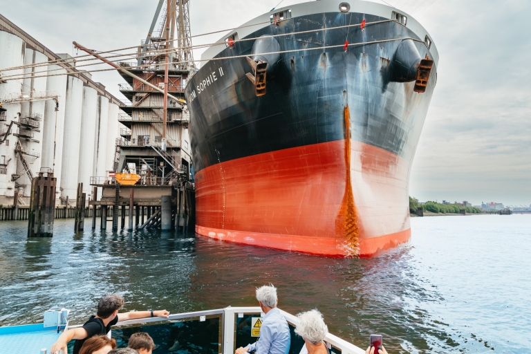 Hamburgo: crucero por el puerto de Hamburgo