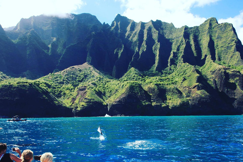 Waimea: Nā Pali Coast Zodiac Raft Sea Caves + Snorkel Nā Pali Coast Zodiac Raft Sea Caves + Snorkel Expedition