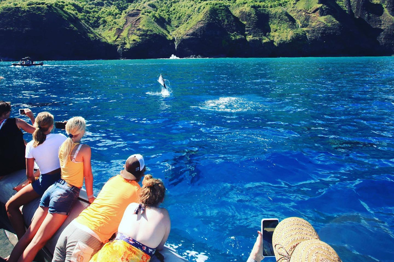 Waimea: Nā Pali Coast Zodiac Raft Sea Caves + Snorkel Nā Pali Coast Zodiac Raft Sea Caves + Snorkel Expedition