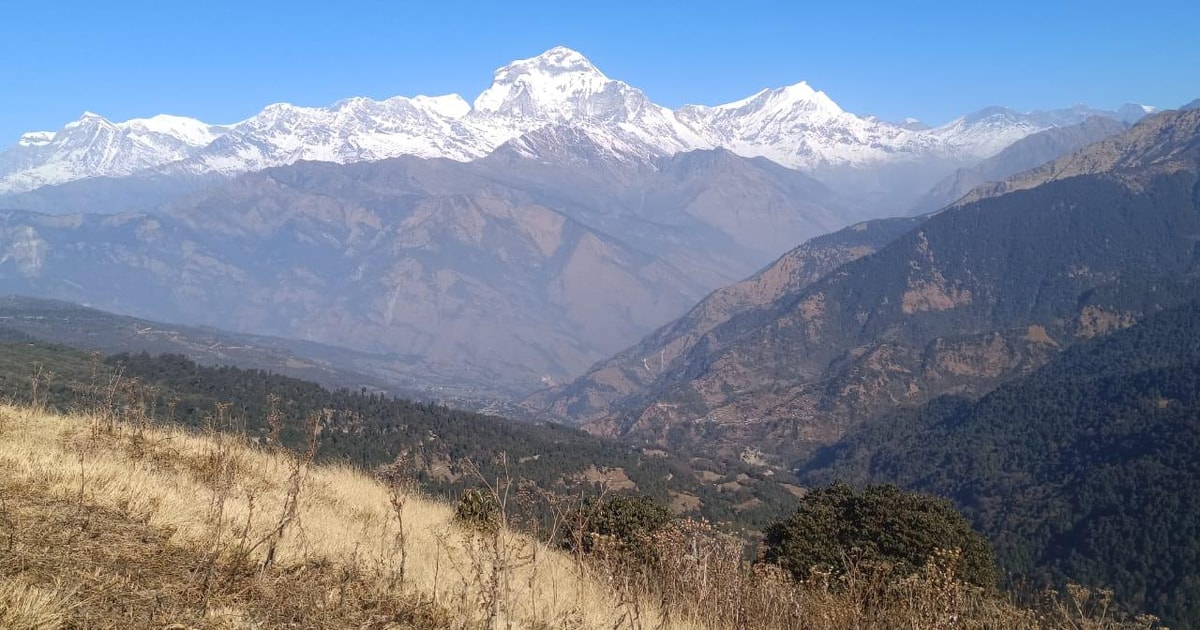 Poon Hill Trekking 3 Dage Fra Pokhara GetYourGuide