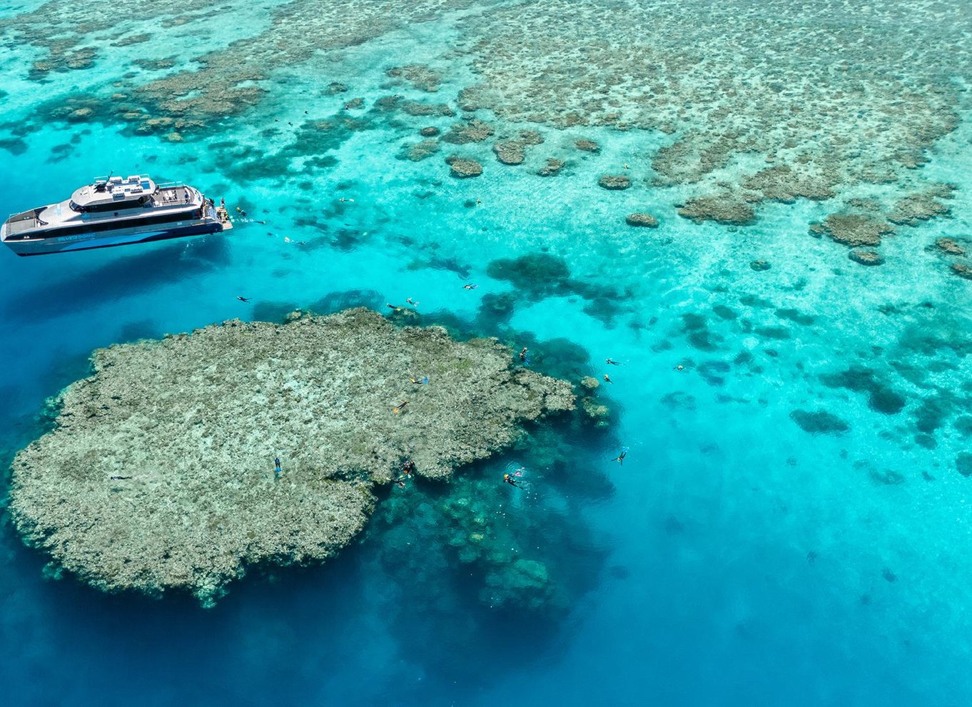 Port Douglas: Dykning og snorkling ved Great Barrier Reef med Silversonic