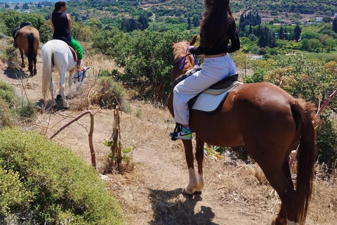 Bodrum: Horseback Riding Adventure with Hotel Pickup 2-Hour Forest & Beach Horse Riding with Transfers
