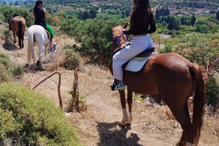 Bodrum: Horseback Riding Adventure with Hotel Pickup 2-Hour Forest & Beach Horse Riding with Transfers
