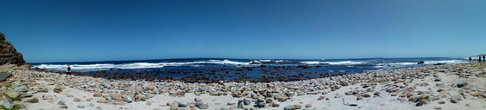 Godahoppsudden Cape Point Boulders Beach Penguins GetYourGuide