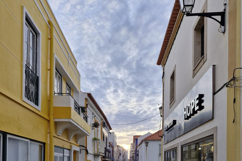Sines: Zwiedzanie zabytkowego centrum, muzeum i zamku w Sines