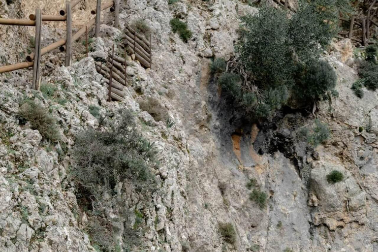 Crete: Platanion Gorge Hiking Tour with Traditional Lunch