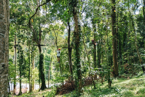 Khao Lak : excursion combinée « Éléphants éthiques et tyrolienne »