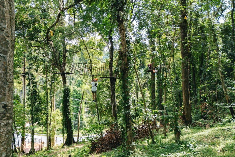 Khao Lak : excursion combinée « Éléphants éthiques et tyrolienne »