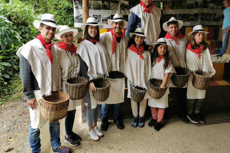 From Medellin: Coffee and Comuna 13 Tour with PRIVATE transportation From Medellin: Coffee Tour and Comuna 13 with PRIVATE transportation