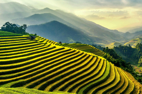 Ubud :Waterfalls, Water Temple & Rice Terrace – Private Tour Ubud: Waterfalls, Rice Terrace water Temple all included