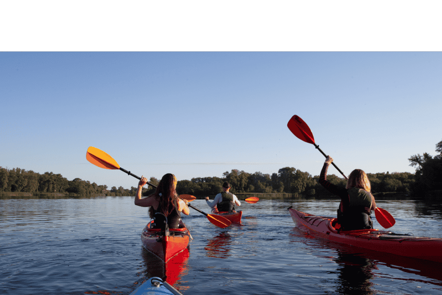 Ocean Springs: Geführte Kajaktour. Foto: GetYourGuide Ocean Springs: Geführte Kajaktour. Foto: GetYourGuide