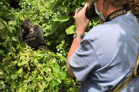 SAFÁRI DE VIDA SELVAGEM DE 9 DIAS EM UGANDA