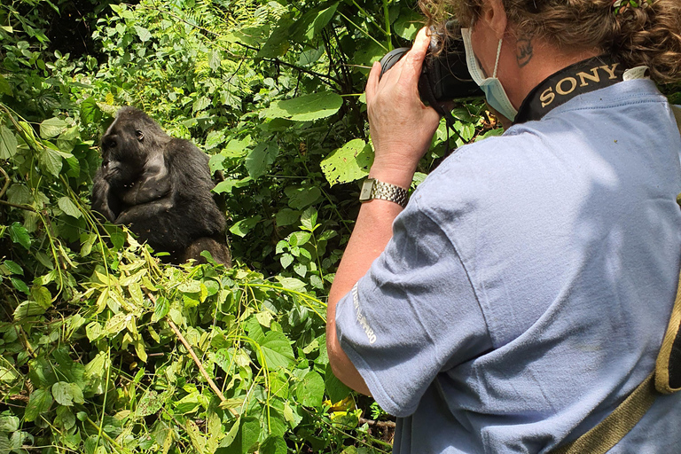 SAFÁRI DE VIDA SELVAGEM DE 9 DIAS EM UGANDA