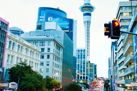 Best of Auckland: Private Walking Tour with a Local Private City Walking Tour - 3Hr