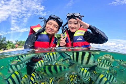 Private Snorkeling At Blue Lagoon, Waterfall Tour with Lunch