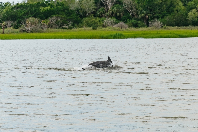 Savannah: Tybee Island Dolphin Cruise TourSavannah: boottocht met dolfijnen spotten op Tybee Island
