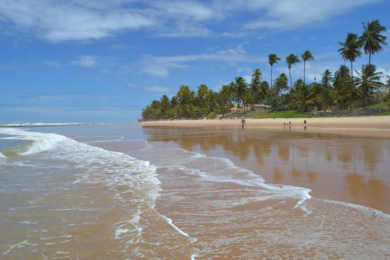 Salvador North Shore: Beach Hopping Tour to Praia do Forte