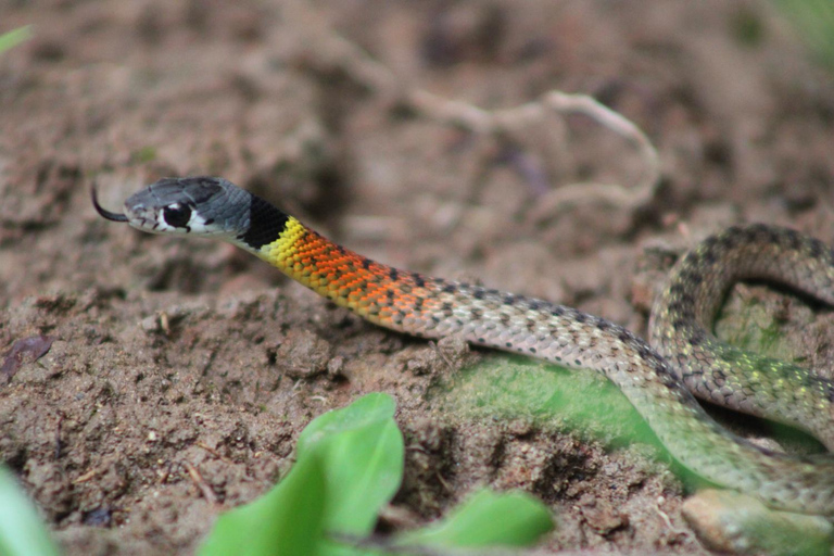 Peucang Island: 3-Day Ujung Kulon National Park EcoTour