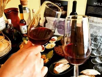 Ancient Rome gastronomic experience - wine tasting