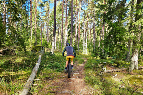 Stockholm på Fat Bike: Fatbike skogsäventyr med lunch och bastu