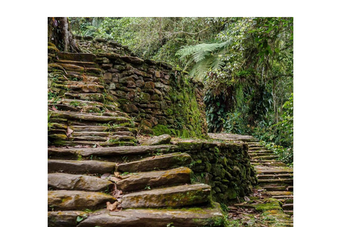 Ciudad Perdida