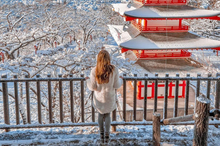 Tóquio: Viagem de 1 dia com visita privada ao Monte Fuji e Hakone