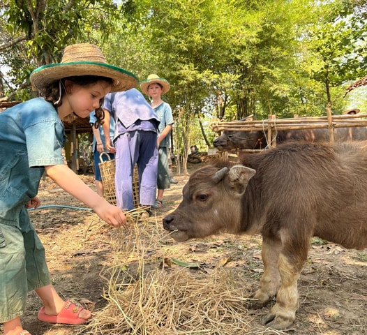 Family with kids Farm Experience : Buffaloes, Rice & Crafts