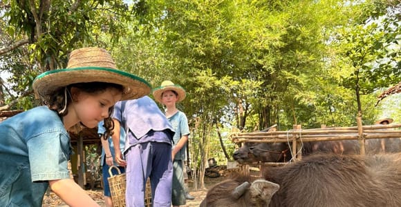 Family with kids Farm Experience: Buffaloes, Rice & Crafts