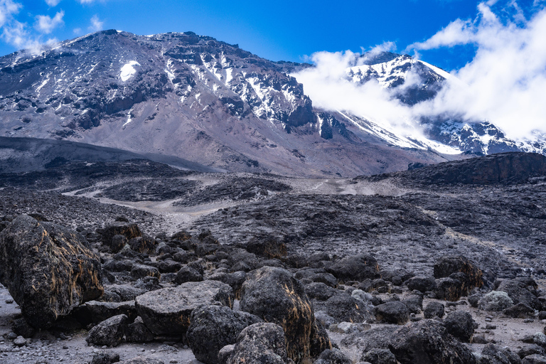 7 jours Route Machame, ascension du Kilimandjaro 2024 2025