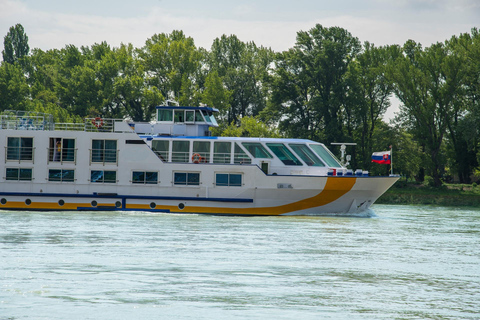 Tour privado a pie por el casco antiguo de Bratislava con crucero por el Danubio