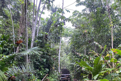 Cascade de Regalias - Le joyau de Bello Horizonte