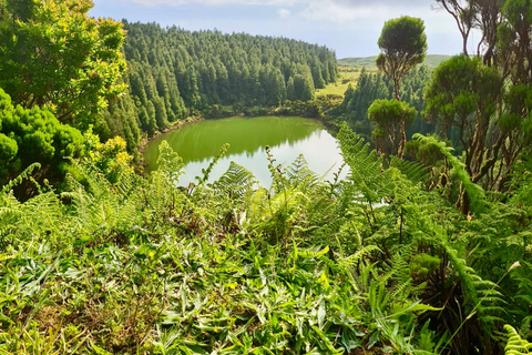 Pico Island: Lagoons and Mysterious Lava Tunnels Guided Tour