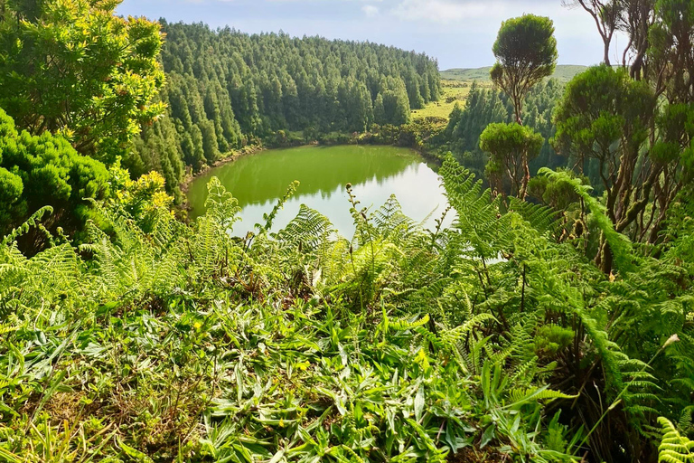Pico Island: Lagoons and Mysterious Lava Tunnels Guided Tour