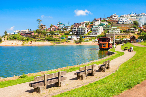 Kandy: Nuwara Eliya Scenic Tour & Ella Train Drop Experience