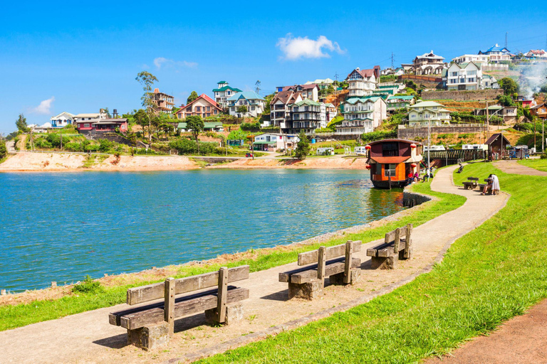 Kandy: Nuwara Eliya Scenic Tour & Ella Train Drop Experience
