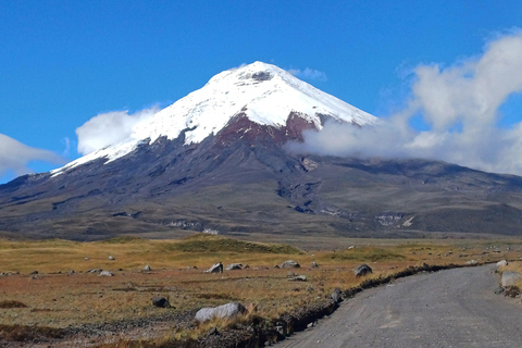 Quito: Cotopaxi Volcano Hike and Limpiopungo Lagoon Tour