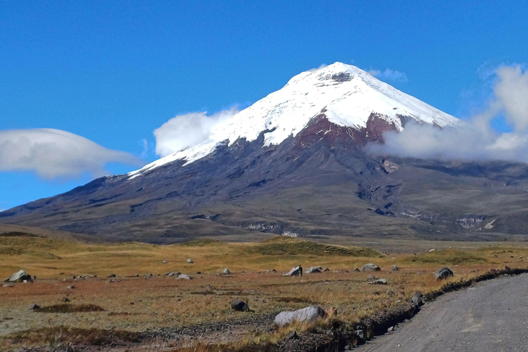 Quito: Cotopaxi Volcano Hike and Limpiopungo Lagoon Tour