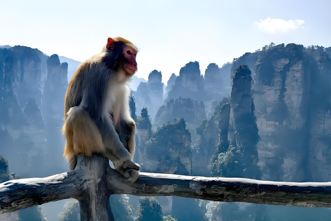 Zhangjiajie: Avatar Mountain Day Tour with Guide