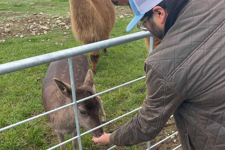 Te Anau: Farm Experience, Milford Sound Cruise &amp; Coach