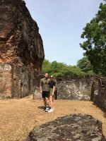 Polonnaruwa Sight Seeing Tour and Minneriya Elephant Safari - Housity