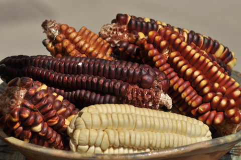 2 Days - Short Inca Trail to MachuPicchu