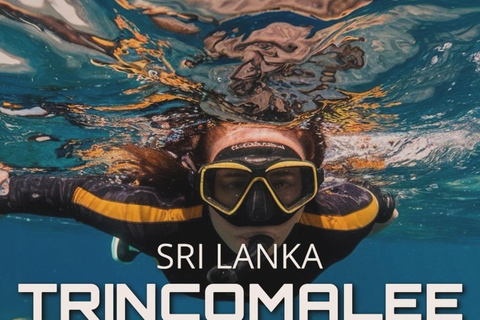 From Sigiriya: Elephant Safari & Trincomalee Transfer