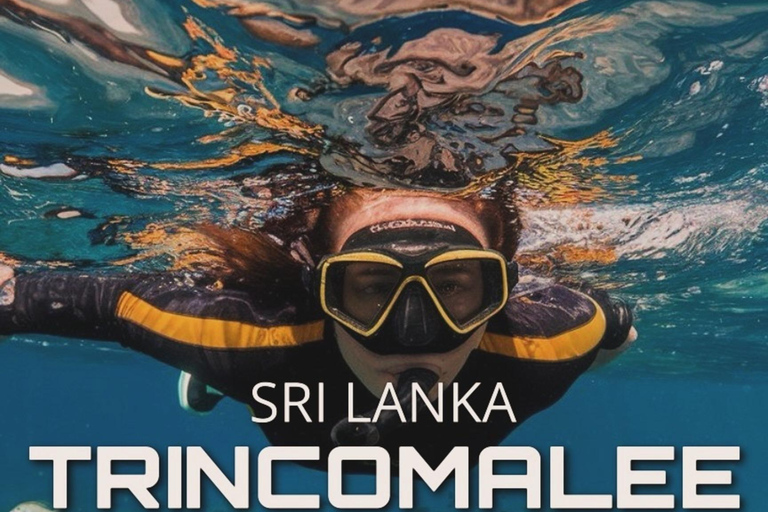 From Sigiriya: Elephant Safari & Trincomalee Transfer