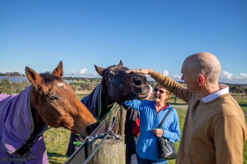 Melbourne : Visite d'une journée complète sur les chevaux, le vin et la bièreOption standard