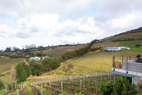 Cape Town: Private Full Day City & Winelands Tour