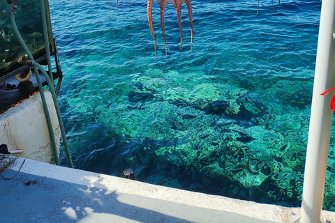 Santorin : visite d&#039;une jounée privée avec un guide de la région