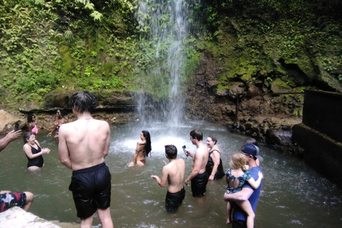 St. Lucia: Highlights Tour with mud baths and waterfalls